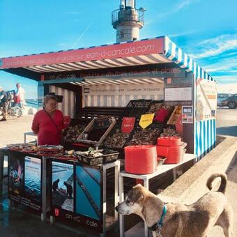 Elegant Country Home Near Dinan And Ocean