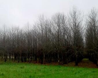 Au Lutin Pomm� - Maison De Vacances Bretagne