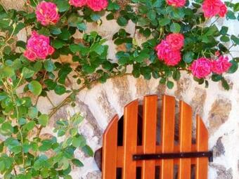 G�te Merle-leignec, 2 Pi�ces, 2 Personnes - Fr-1-496-45