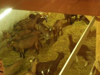 Bed & Breakfast Ferme Im-berg