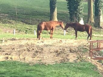 Hostal Ch�teau De Monhoudou