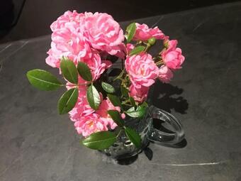 Bed & Breakfast Petite Halte � Montauban De Bretagne