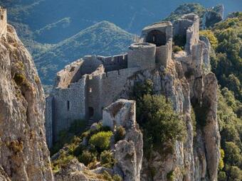 Dans Un �crin De Nature