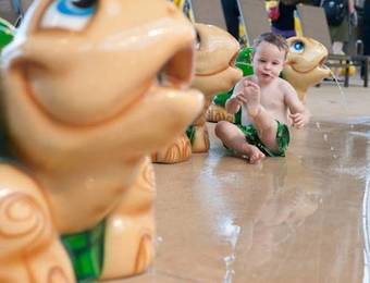 Soaring Eagle Waterpark And Hotel