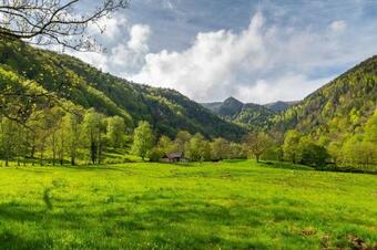 Apartamento Le Loft De L Ancienne Forge