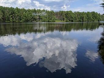 Woodland Doe Lodge - Lakefront Log Cabin
