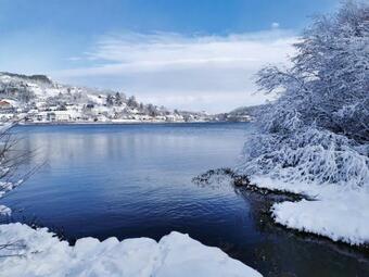 Ver fotos