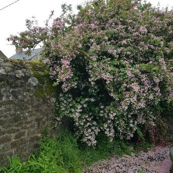 Charming Old School Set In Quiet Beautiful Village