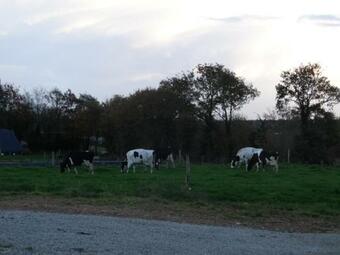 Bed & Breakfast Chambres D'h�tes " Moulin Du Couedic "