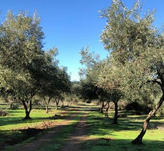 Villa Le Moulin De L'ostriconi