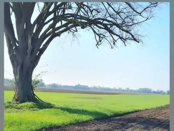 Apartamento Chez Ilona Obenheim