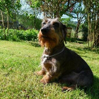 Apartamentos Un G�te Dans La Vall�e