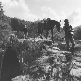 Agroturismo Chjassi Di Livesi