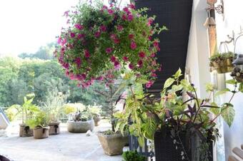 Bed & Breakfast Chambre D H�tes Bounty