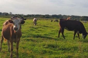 Apartamento River Ranch Luxury Suite With Screened Porch Walk To Everything 253