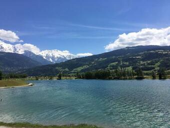 Fizhome Mt Blanc