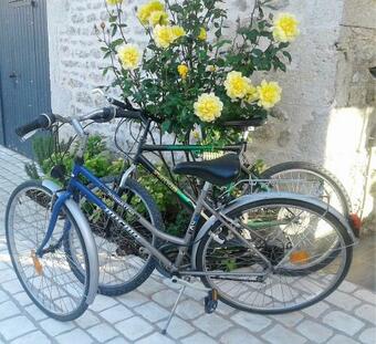 La Long�re Chanoir