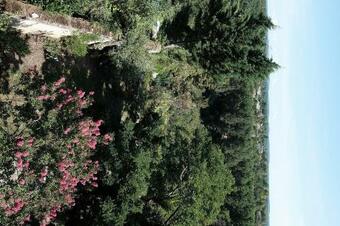 Apartamento Spacieux Appartement Ind�pendant Dans Une Maison