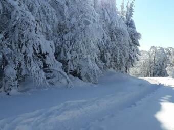 Apartamento Appartement Rupt-sur-moselle, 2 Pi�ces, 2 Personnes - Fr-1-589-391