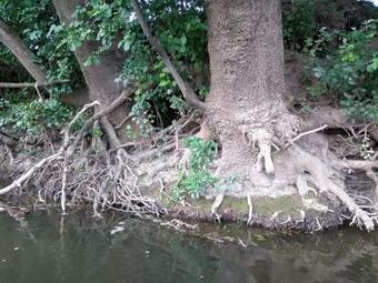 Bed & Breakfast L'ermite