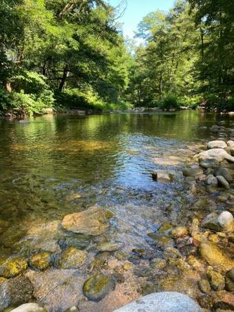 Domaine De La Tuilli�re