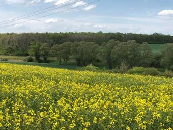 Hostal Cedric Guesthouse