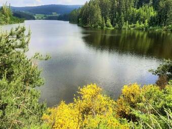 Apartamento Appartement Saint-genest-malifaux, 2 Pi�ces, 2 Personnes - Fr-1-496-228