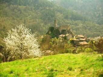 Moulin Dans Les Bois