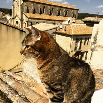 Apartamento Jolie Maison De Village Du 17�me Vers Le Pont Du Gard