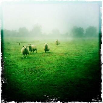 Bed & Breakfast Relais De Chasse La Chaignaie