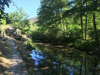 Bed & Breakfast Les Asphod�les