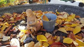 Bed & Breakfast Chambres D'h�tes Nilautpala Dreams