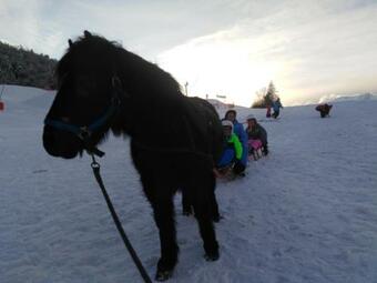 Apartamento Studio Cabine Pied Des Pistes