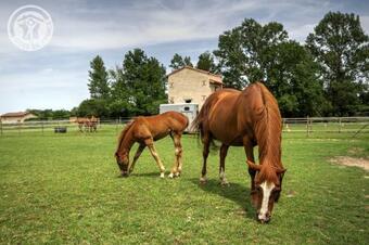 Bed & Breakfast Chambres D'h�tes Ondine Et Igor