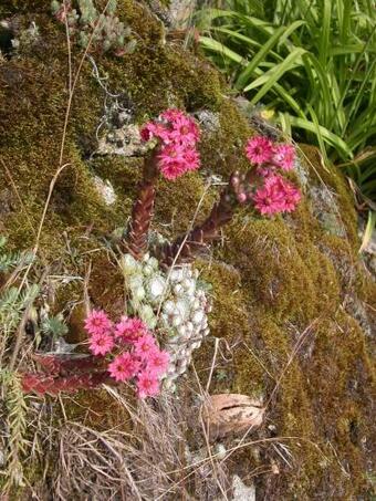Agroturismo Gite Deux-eaux
