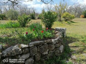 Ls2-397 Mas Proven�al Traditionnel En Pierres Avec Piscine Priv�e Et Chauff�e � Saint Martin De Castillon - Le Bastidoun