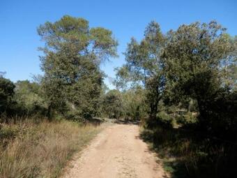 S�jour Pic Saint Loup