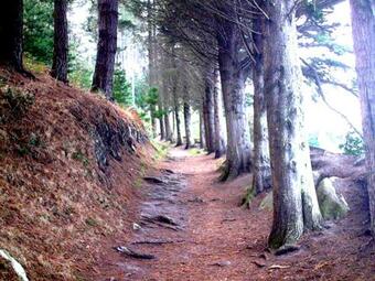 Apartamento Belle Vue Sur Mer