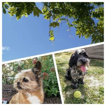 Hostal A L'ombre Du Ventoux