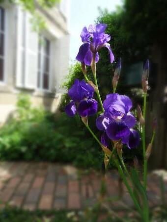 Bed & Breakfast L'escalier Des R�ves