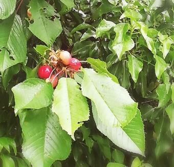 Apartamento Le Grand Bayle - Oasis Naturelle