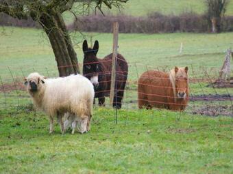 Bed & Breakfast La Tuilerie-les Champs Du Possible