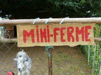 G�te Saligny-sur-roudon, 3 Pi�ces, 5 Personnes - Fr-1-489-121