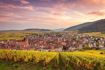 Maison De Vacances Piscine, Terrasse, Jardin Proche Strasbourg Et Europa Park