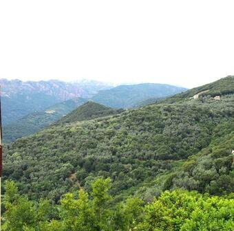 Apartamento Maison De Vacances Le Petit Nid D'amour Poggio