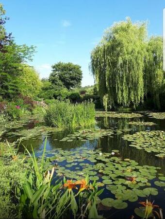 Apartamento Studio Meuble