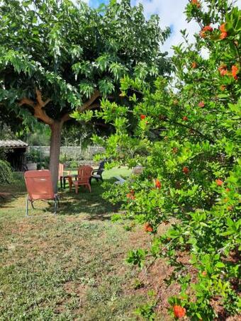 Apartamento Le Tenor