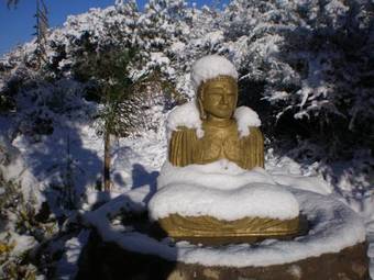 White Field Houses And Spa