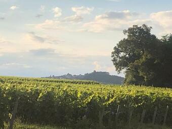 Havre De Paix Au Pied Des Vignes