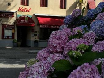 Hotel H�tel Et Appartements Les Platanes